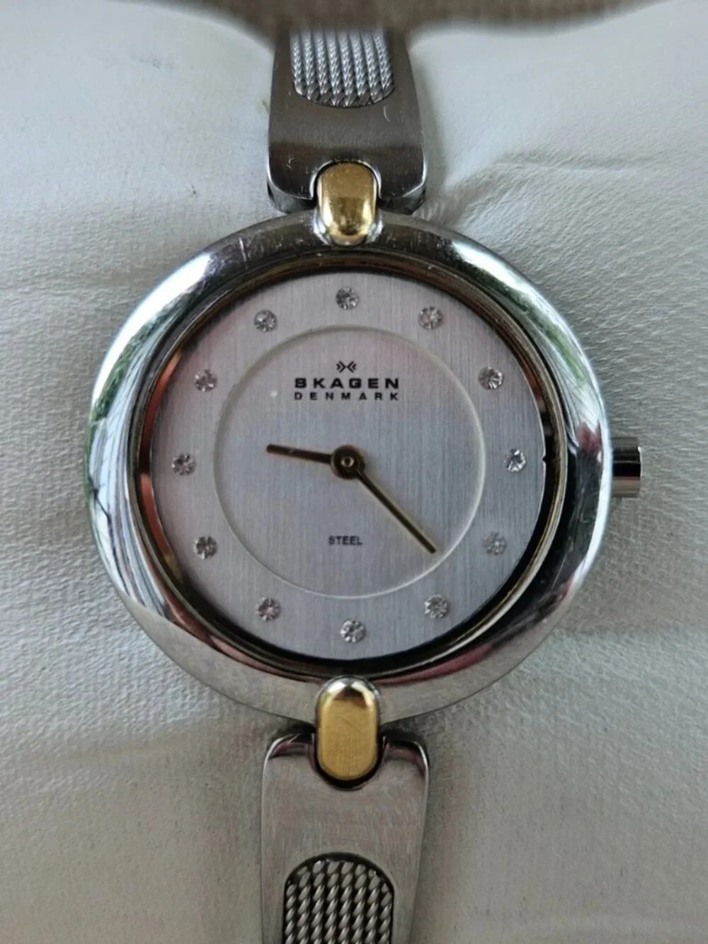 Skagen Denmark Ladies Wristwatch Silver Tone Gold Tone Accent Analog Wrist Watch